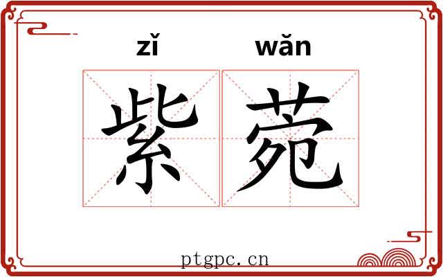 紫菀