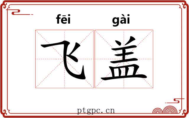 飞盖