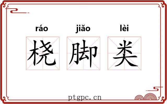 桡脚类