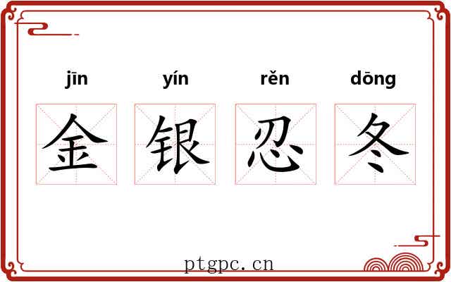 金银忍冬
