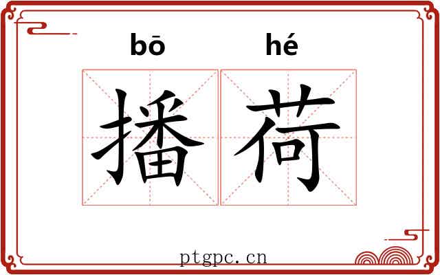 播荷