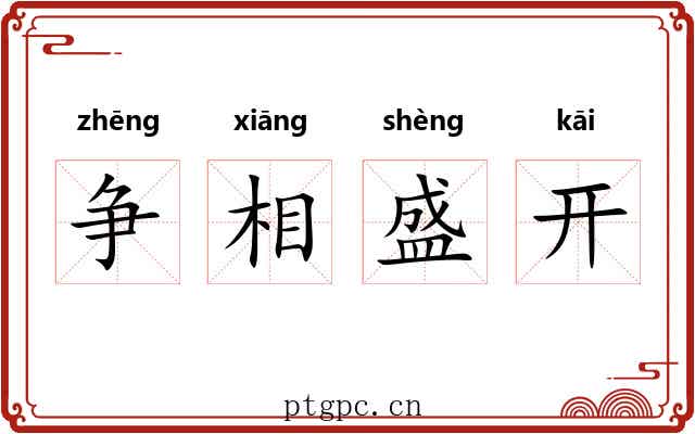 争相盛开 争相盛开