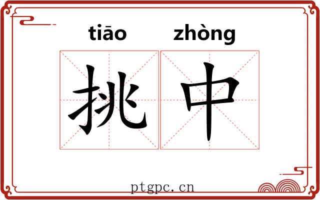 挑中