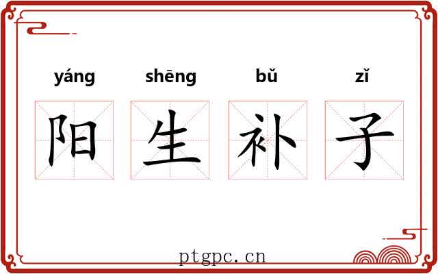阳生补子 阳生补子