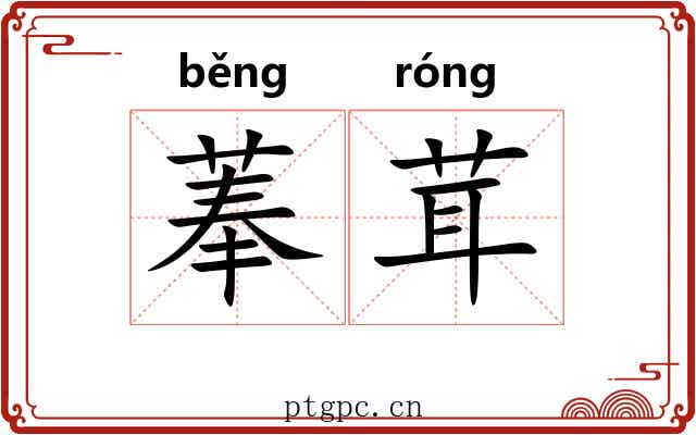 菶茸