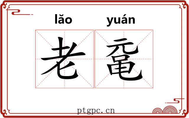 老鼋 老鼋