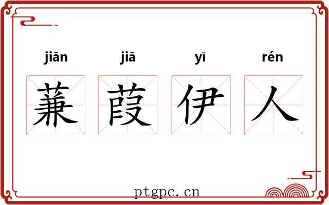 蒹葭伊人 蒹葭伊人