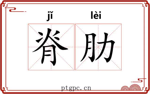 脊肋