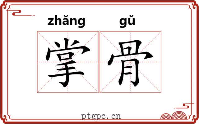 掌骨