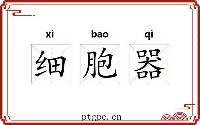 细胞器