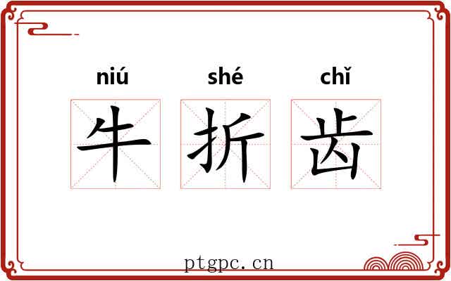 牛折齿 牛折齿