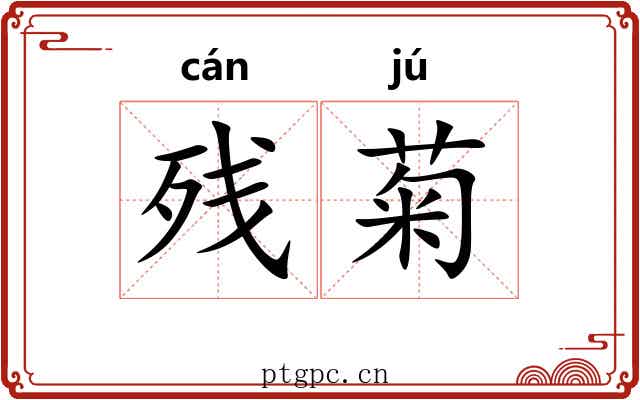 残菊 残菊