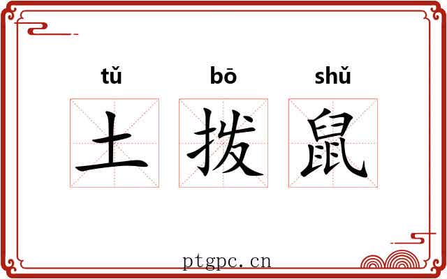 土拨鼠