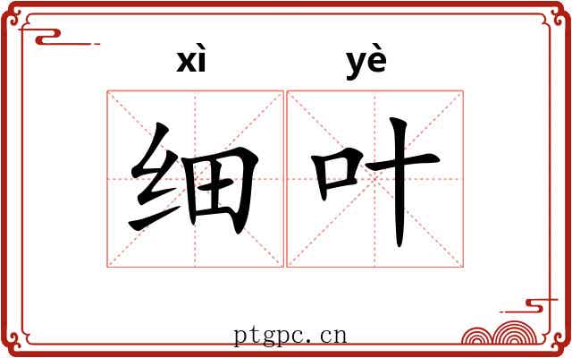 细叶