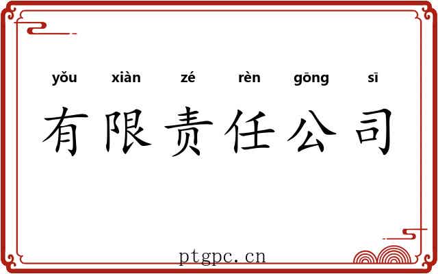 有限责任公司