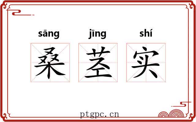 桑茎实