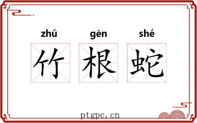 竹根蛇