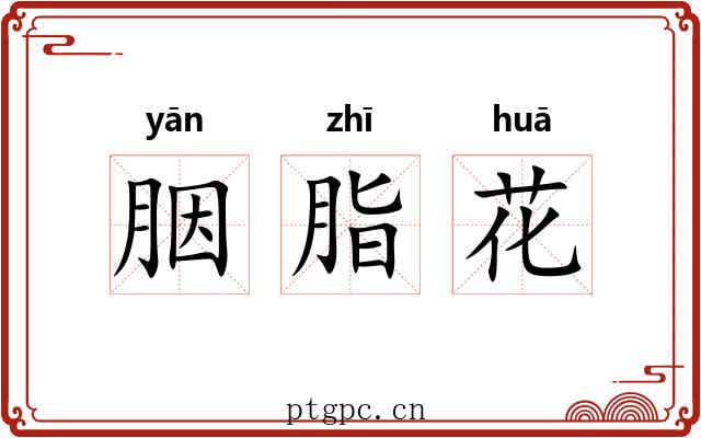 胭脂花 胭脂花