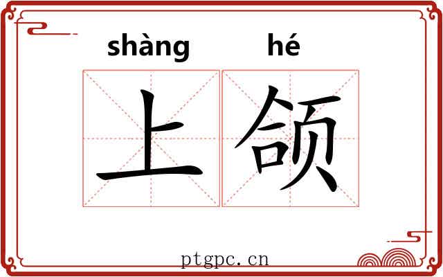 上颌 上颌