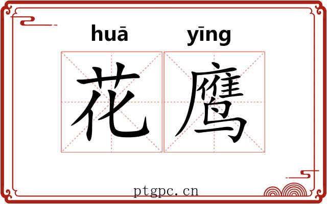 花鹰