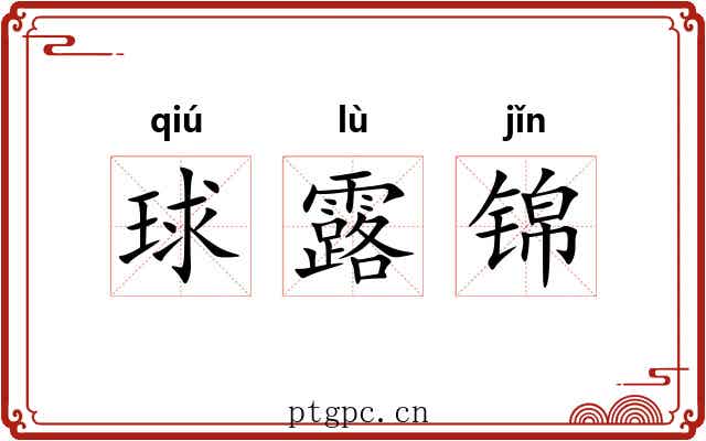 球露锦