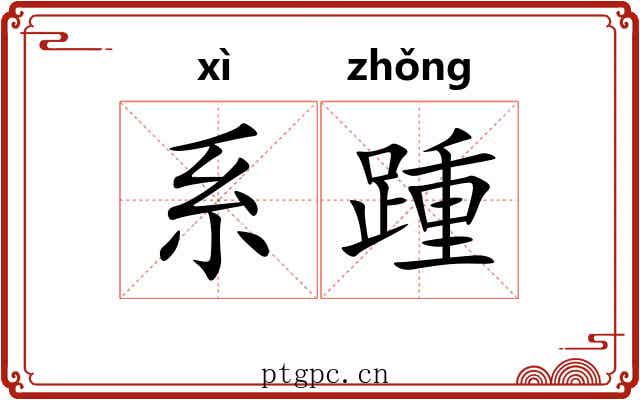 系踵
