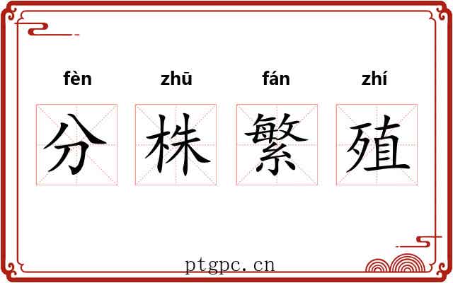分株繁殖