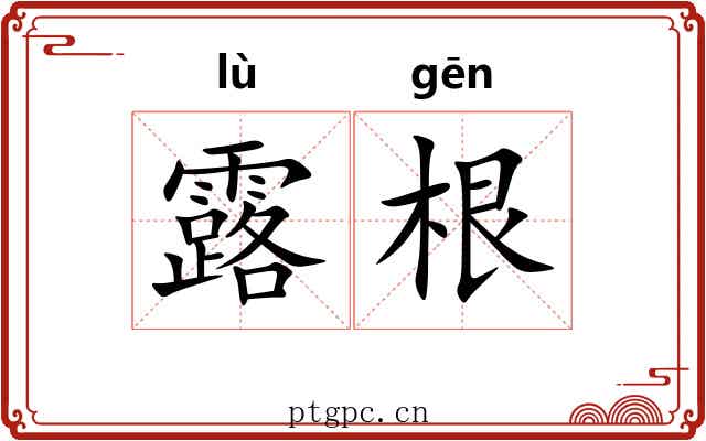 露根 露根