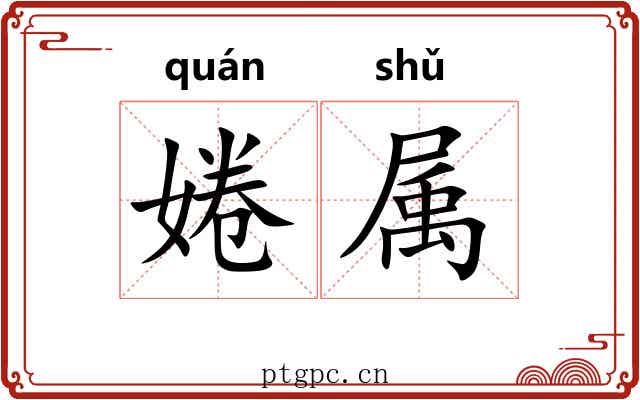 婘属 婘属
