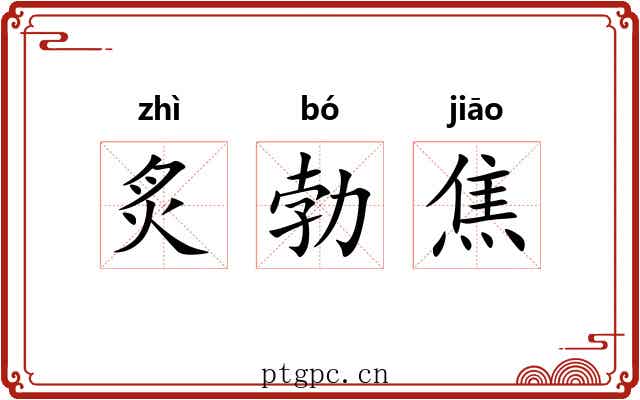 炙勃焦