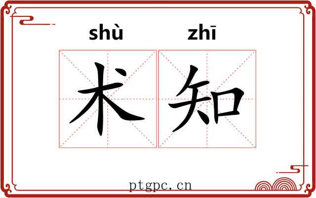 术知