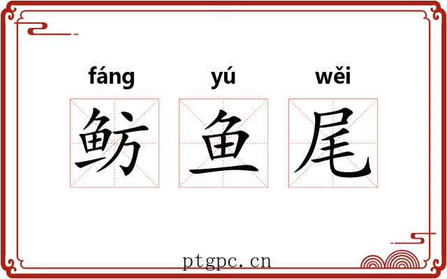 鲂鱼尾