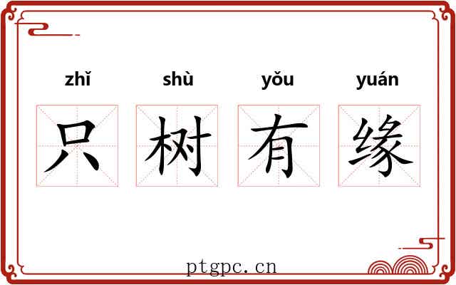 只树有缘