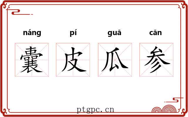 囊皮瓜参