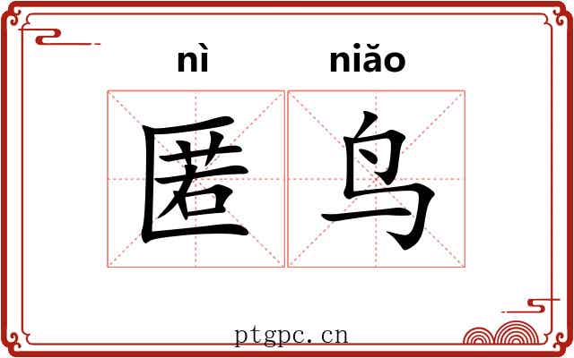 匿鸟