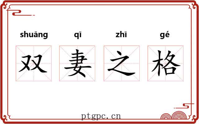 双妻之格 双妻之格