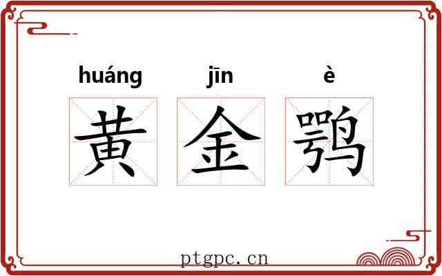黄金鹗