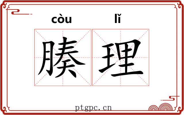 腠理 腠理