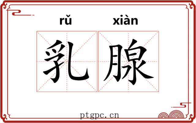 乳腺