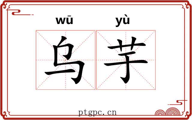 乌芋