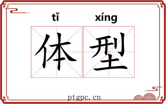 体型