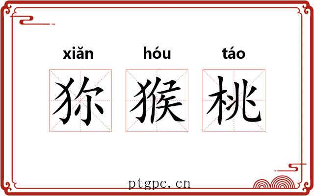 狝猴桃