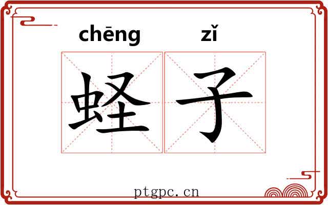 蛏子 蛏子