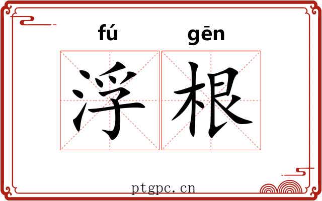 浮根