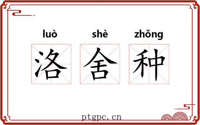 洛舍种