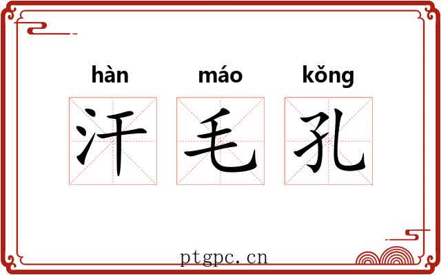 汗毛孔