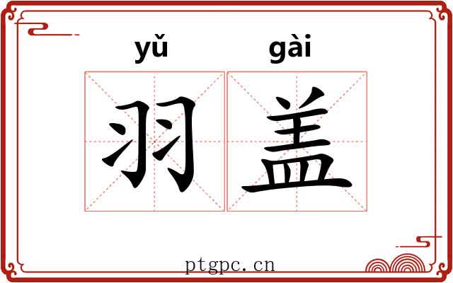 羽盖 羽盖