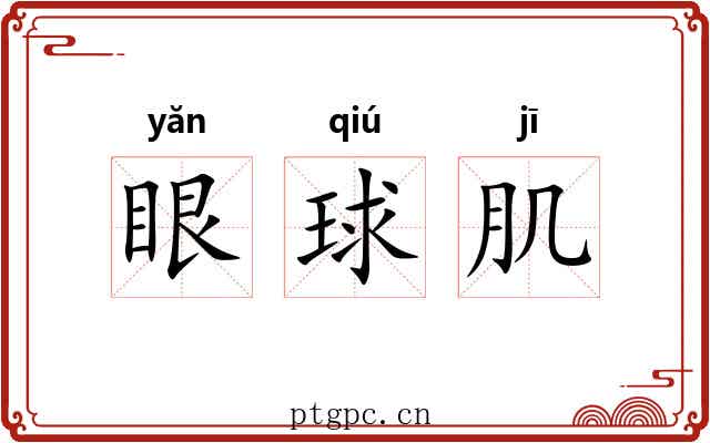 眼球肌 眼球肌
