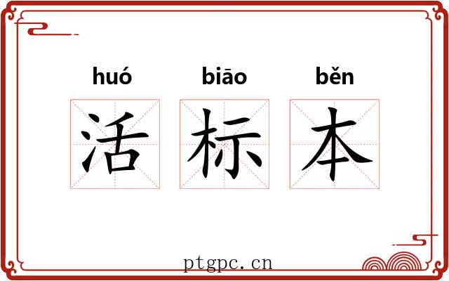 活标本