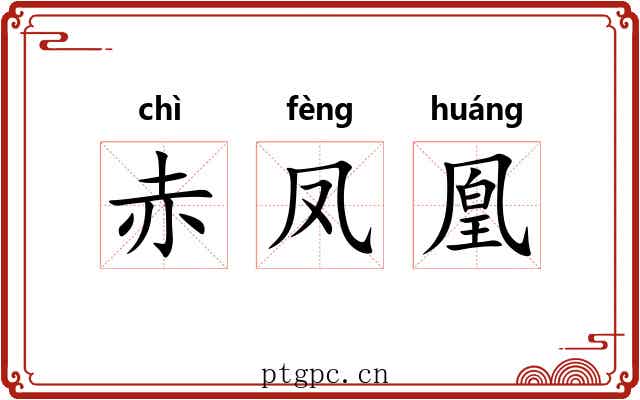 赤凤凰